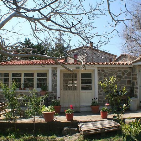Arcadia Eressos Hotel Екстериор снимка