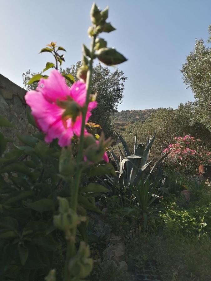 Arcadia Eressos Hotel Екстериор снимка
