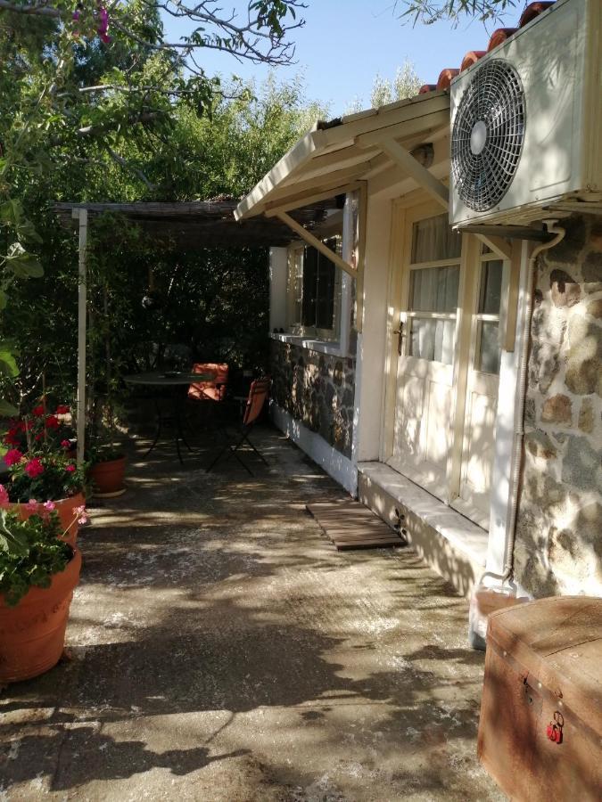 Arcadia Eressos Hotel Екстериор снимка