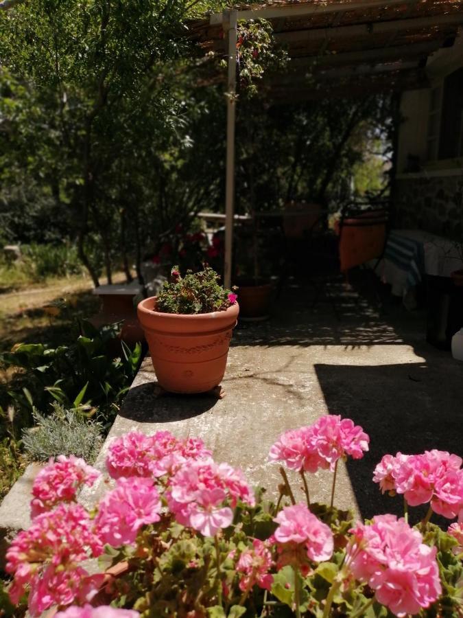 Arcadia Eressos Hotel Екстериор снимка