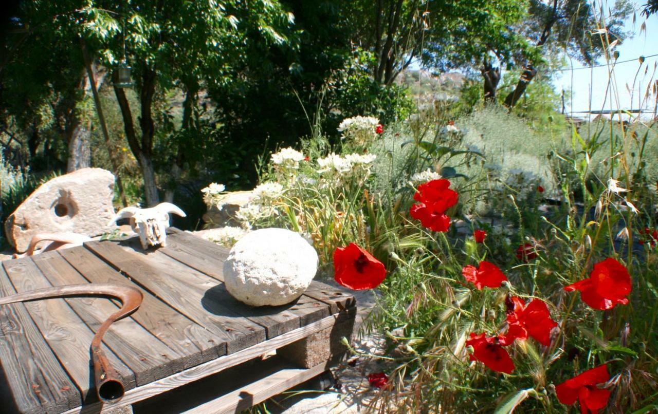 Arcadia Eressos Hotel Екстериор снимка
